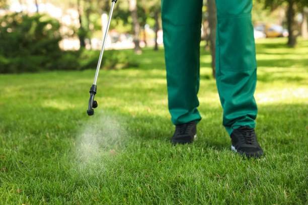 Best Best Pest Control Companies  in Bridgewater, VA